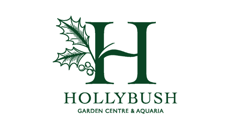 K-Pop Party at Hollybush Garden Centre & Aquaria