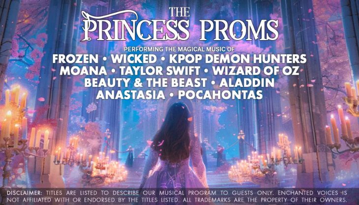 Princess Proms The Alex Birmingham