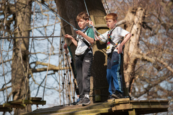Children in the trees taking part in High Ropes Adventures at The Oakwood, Esher, Surrey, also available as part of holiday camps