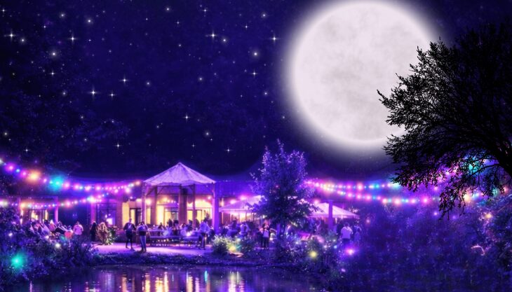 Moonlight Walk