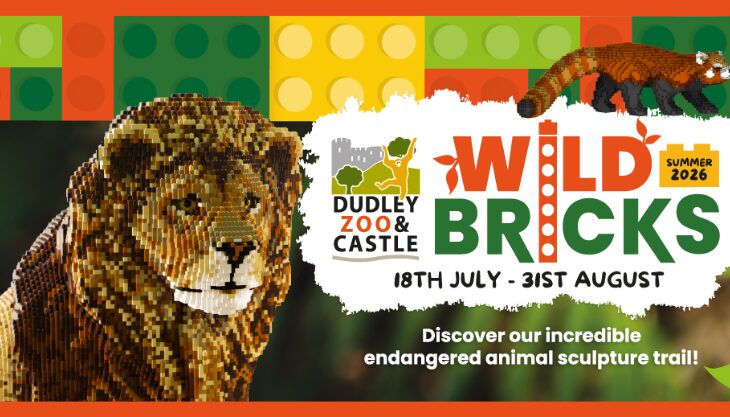 Wild Bricks at Dudley Zoo this Summer