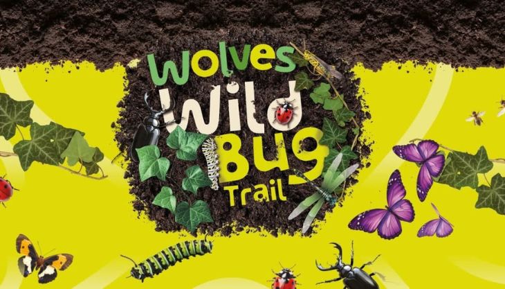 Wolves Wild Bug Trail