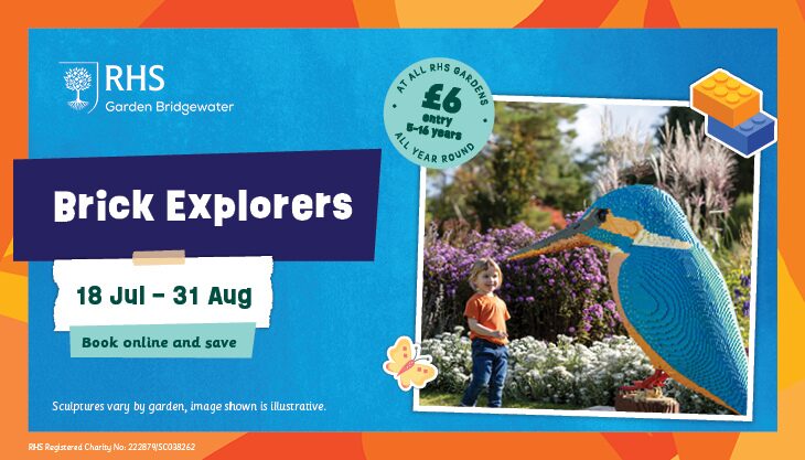Summer holiday fun at RHS Garden Bridgewater