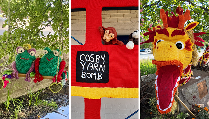 Cosby Yarn Bomb 2026