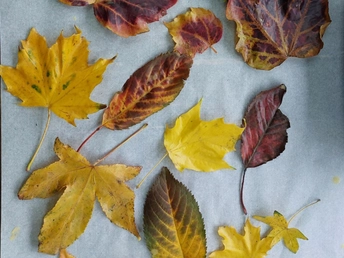 Kids Workshop Autumn Crafts