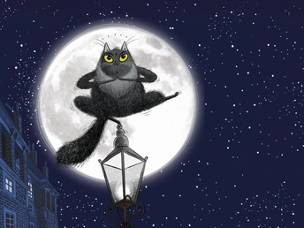 Toto The Ninja Cat
