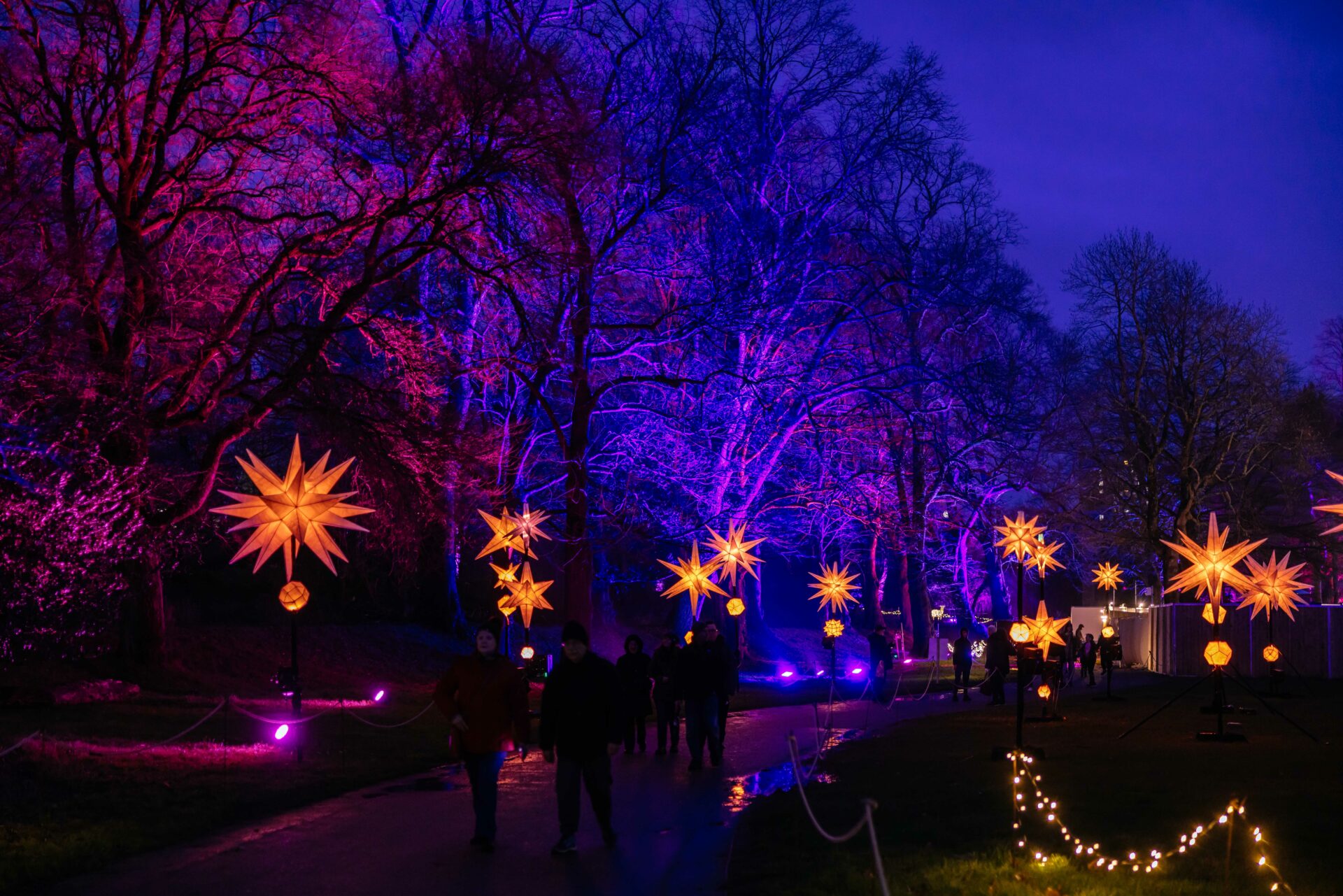 Northern Lights Leicester