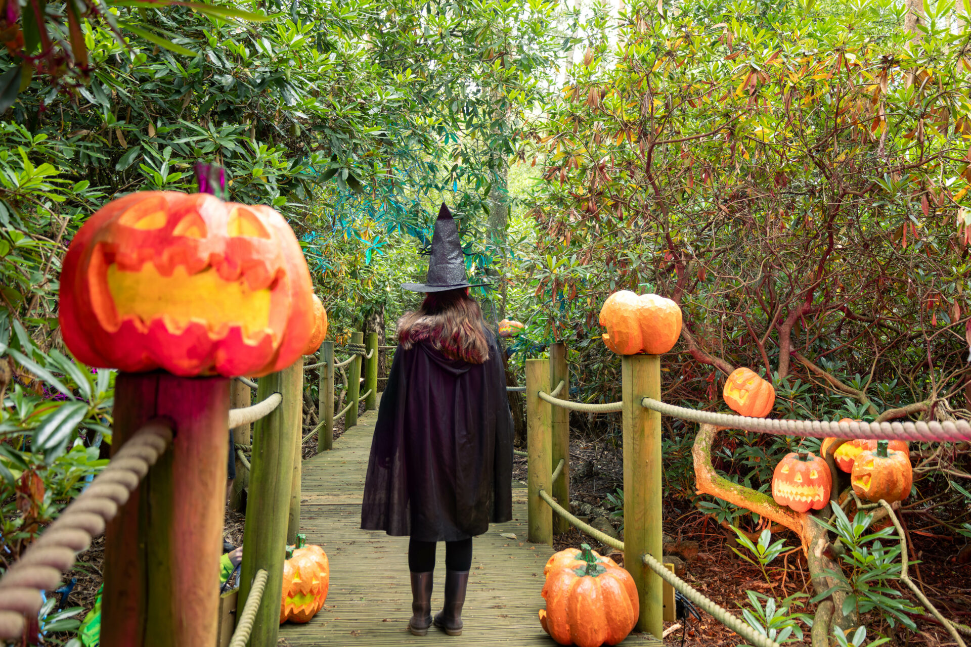 Halloween at BeWILDerwood: Spooooky fun for everyone!  