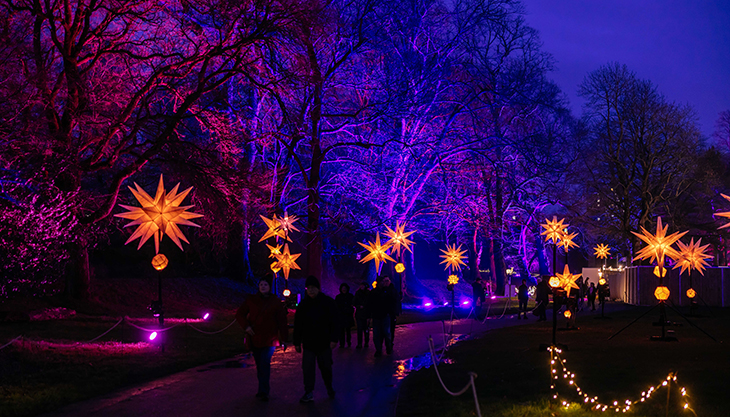 Northern Lights at Abbey Park, Leicester