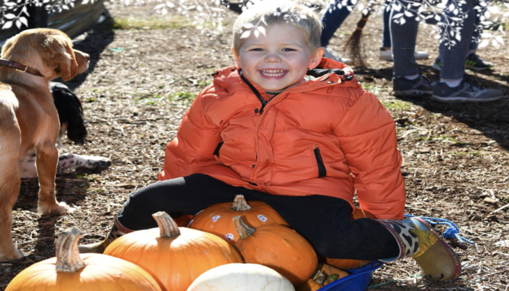Pumpkin Farm at Van Arnhem Nursery