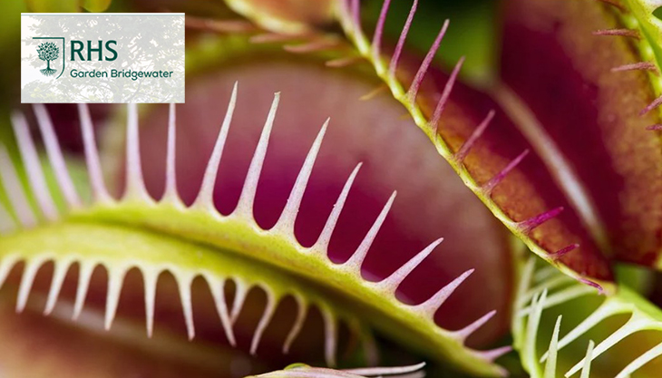Spooky Plants at RHS Bridgewater this Halloween
