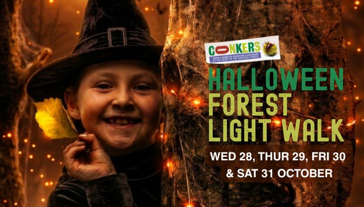 Halloween Forest Light Walk at Conkers