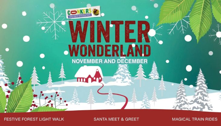 Winter Wonderland at Conkers