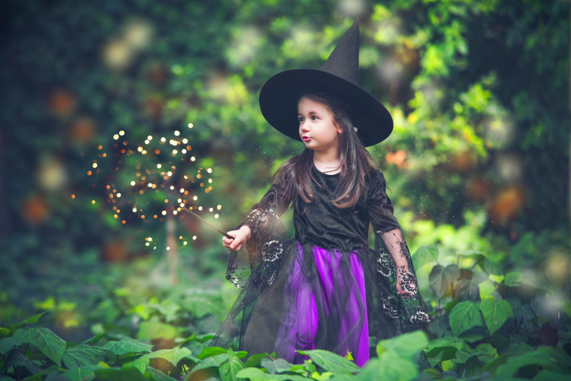 Haunting Halloween Trail
