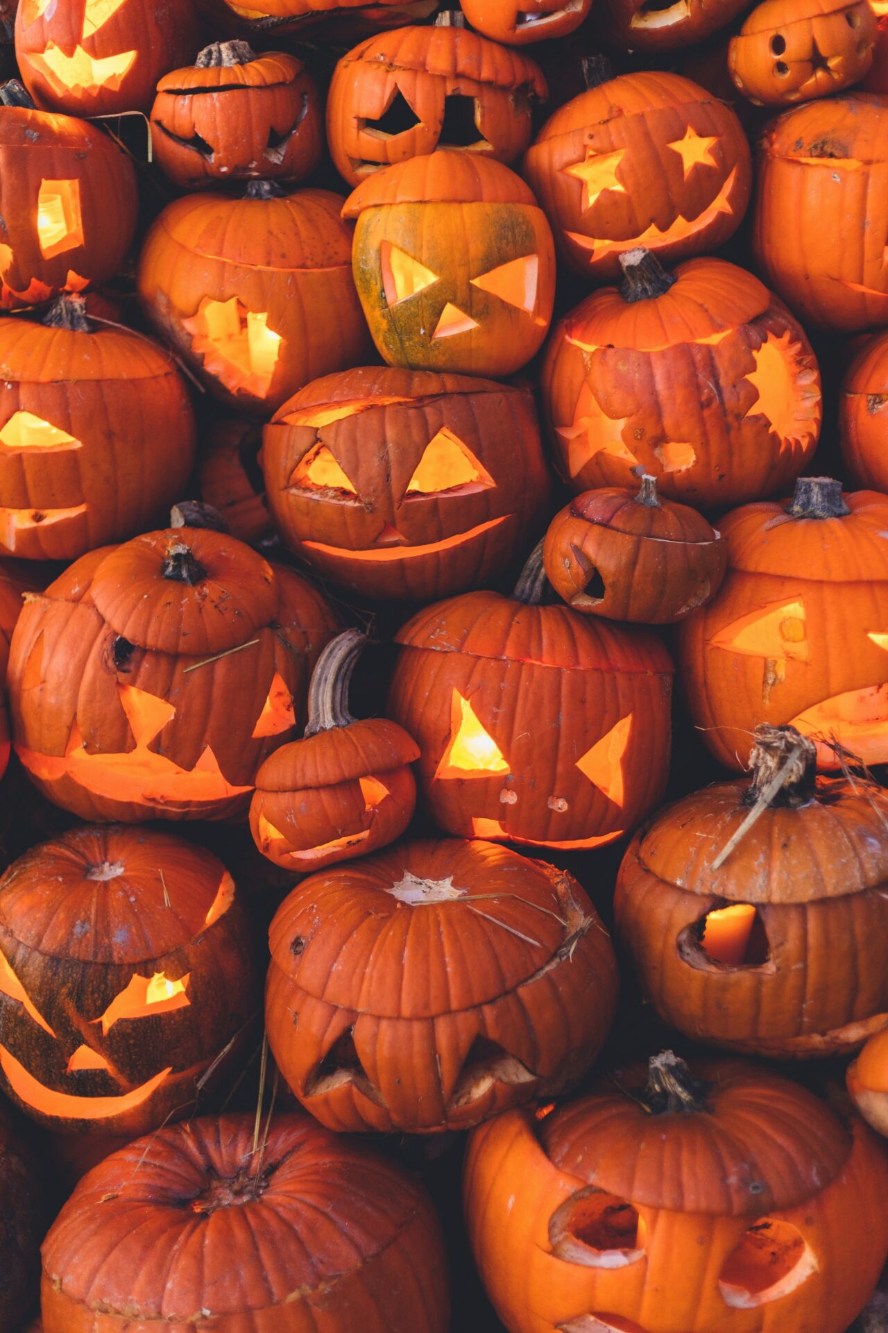 Brooms, Pumpkins, and Bewitching Tales