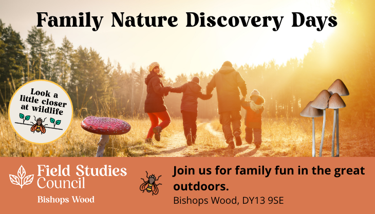Autumn Nature Day