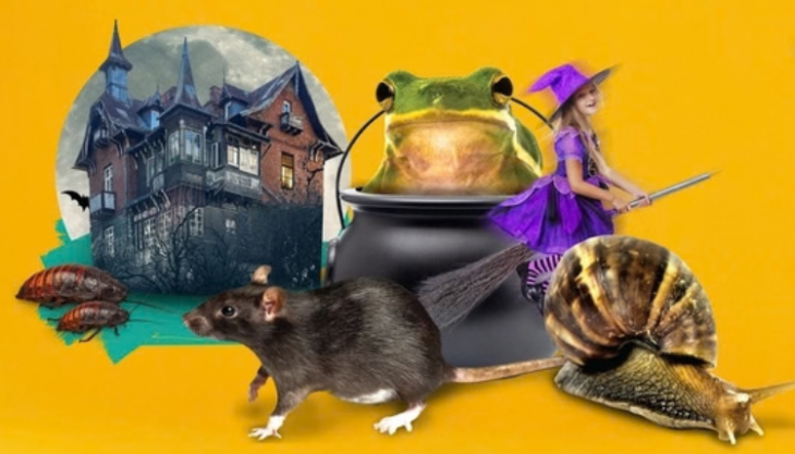 Zoolab At Blakesley Hall