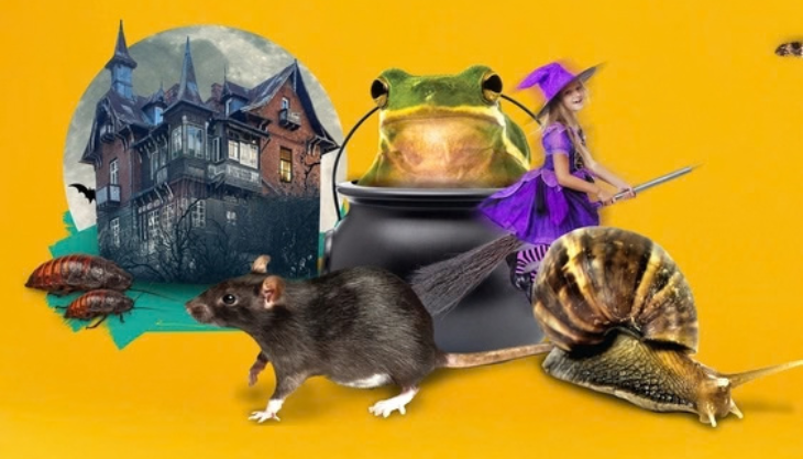 Zoolab at Blakesley Hall: Witchcraft and Wizardry