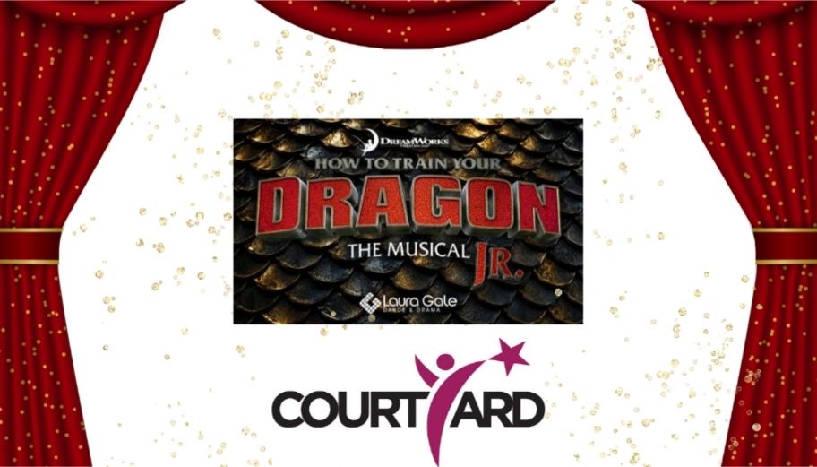 How to Train Your Dragon Jr – the musical