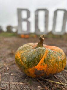 Wood Hall Farm Wolverhampton PYO BOO sign and pumpkin