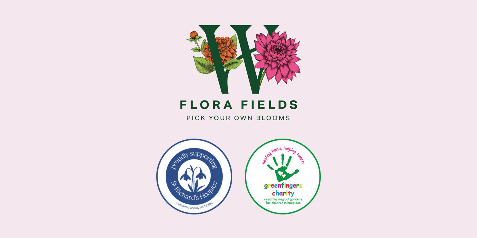 Flora Fields Charity Dahlia Dig Up